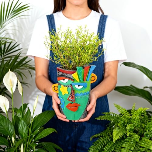 Abstract Face Planter Pot (Green)
