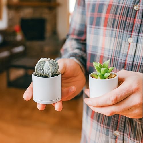 24 Pack Mini White Plastic Planters with Saucers (2")