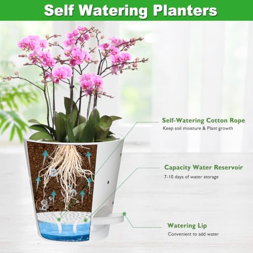 Orchid Pots with Holes (White-5pack)