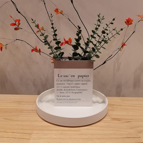 Plant Pot Saucer (10in(1 Pack) / Frosted White)