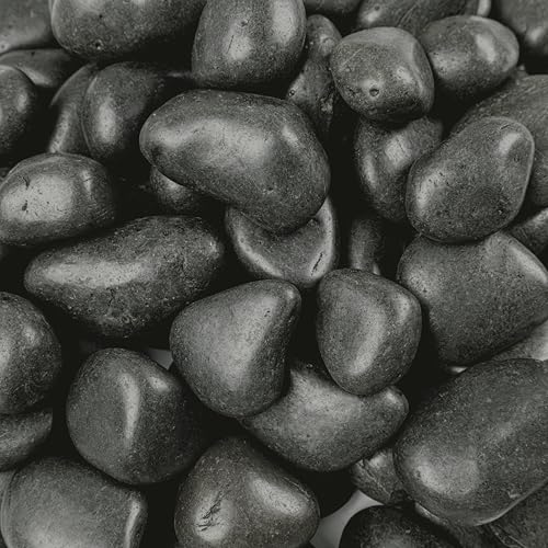 Black Pebbles 0.8 x 1.2in. Polished Decorative Stone Pebble Bag (35200 Ounce)