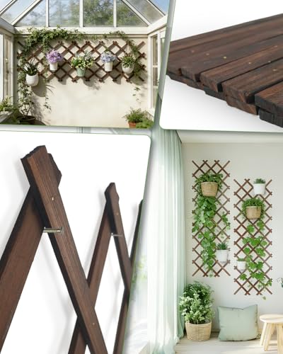Expandable Wooden Lattice Fence Panel (1 Pack / 3.2 x 6.1 ft)