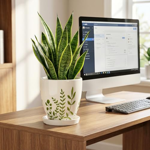 Ceramic Pots for Plants (6 Inch / Branches White)