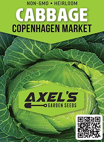 200+ Copenhagen Cabbage Seeds for Planting Outdoors