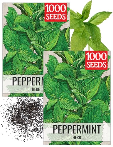 Peppermint Seeds to Plant Heirloom Non (2 Packs)