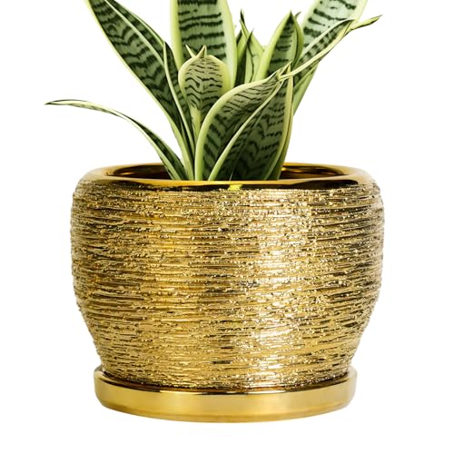Ceramic Planter