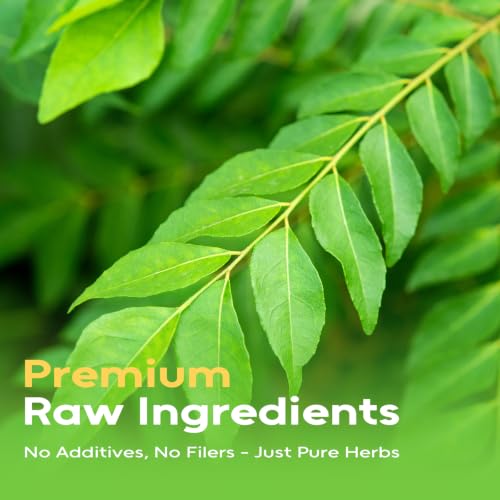 Dried Curry Leaves (1.23 Ounce (Pack of 1))