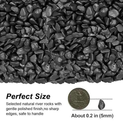 Decorative River Rocks & Landscaping Pebbles for Potted Plants (5 Pounds / Black)