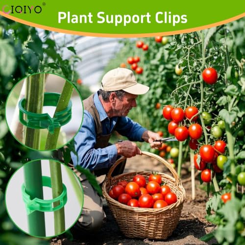 Plant Support Clips (Light Green)