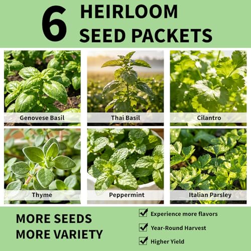 Herb Seed Pods Kit Hydroponic (Classic Herbs)