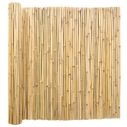 Natural Bamboo Fence (48 Sq Ft)