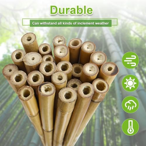 5 8" D 6 Feet Bamboo Stakes 50 Pack (50 Count)
