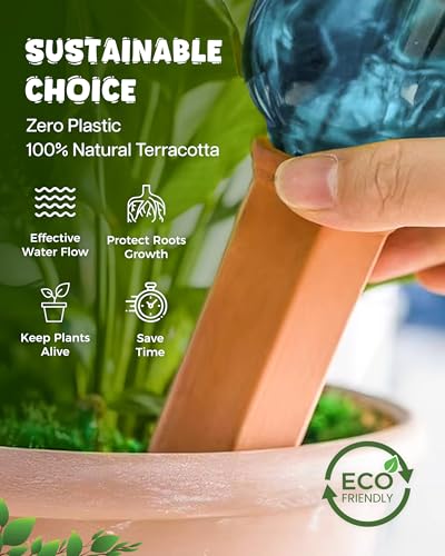 Plant Watering Devices (Terracotta - 2 Pcs (Pack of 1))
