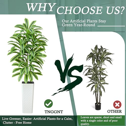 Artificial Dracaena Tree (Light Green – White Pot / 7FT)