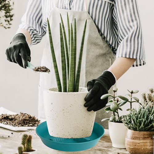 4 Pack Plant Saucer 8 inch