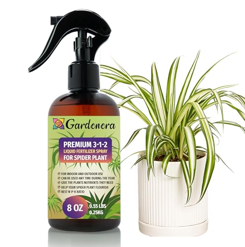 Professional Spider Plant Spray Fertilizer Mist for Home Gardening (8 Fl Oz)