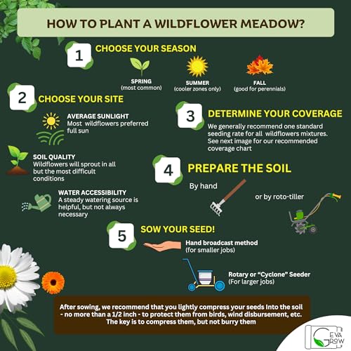 Wildflower Seed Shaker (Western Wildflowers / 2 oz Mini Shaker)