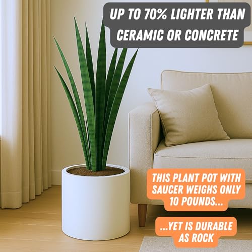 Large Planter for Indoor or Outdoor (Matte White With Saucer / 12 Inch)