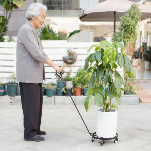 12 Inch Plant Dolly with Wheels (12in)