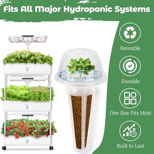 Herb & Salad Seed Pods Kit Hydroponic (Herb & Veg)