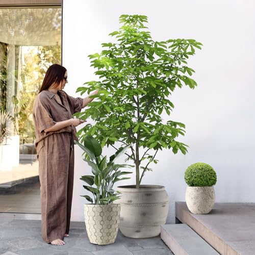 Round Concrete Style Planter Set of 3 (Stone White)