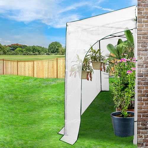 9x4 Easy Setup Pop Up Greenhouse (Clear/White / 9x4)