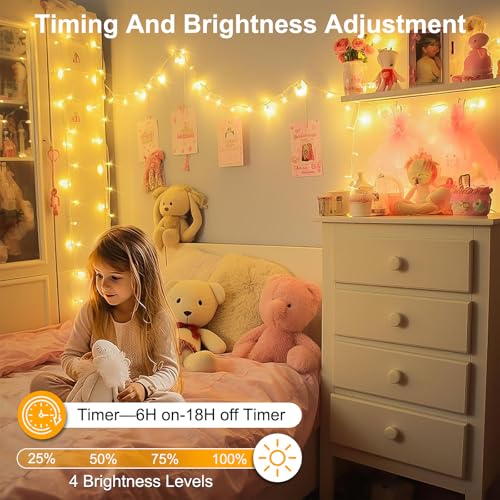 200FT 600LED Christmas Lights Plug in (Warm White / 200FT 600LED)
