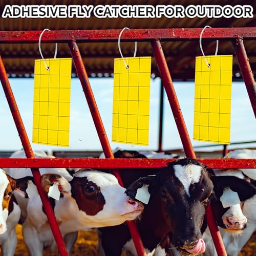 200 Pcs 6'' X 8'' Sticky Trap for Gnats Dual Side Sticky Fruit Fly Trap with Tie Plant for Flying Insect Fungus Bugs Flying Catcher for Indoor (6'' X 8'' / Yellow)