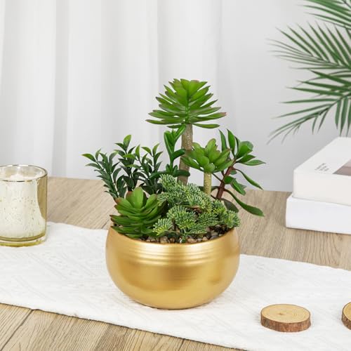 Artificial Succulent Plants in Gold Pot Faux Succulent Arrangement Fake Potted Plants with Pebbles for Home Office Desk Shelf Table Decor (Gold #02)