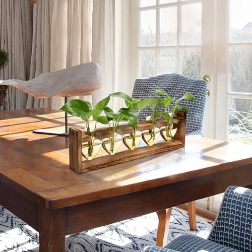 Plant Terrarium Hanging Propagation Stations Gift for Women