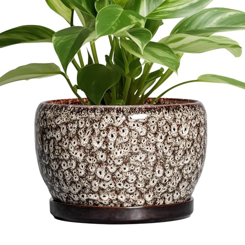 Ceramic Planter