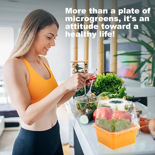 Microgreen Growing Trays (6 Pack-colorful Base)