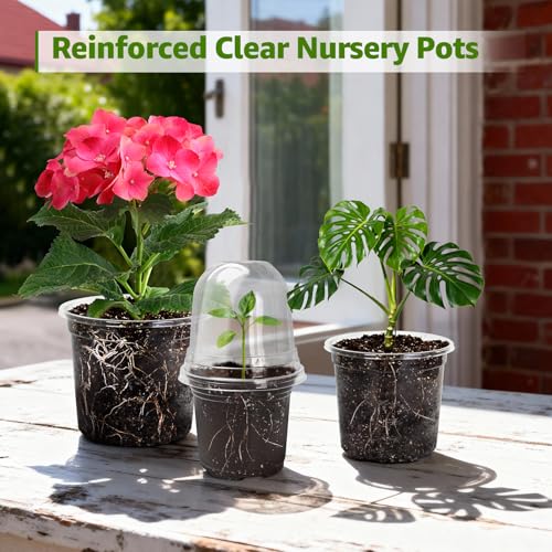 Clear Nursery Pots with Humidity Domes (Transparent / 3.5/4/5 Inch-with Lid)