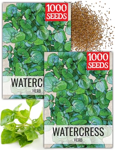 Watercress Seeds to Plant Heirloom Non (2 Packs)