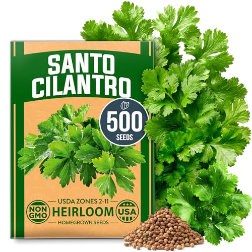 Santo Cilantro Coriander Seeds