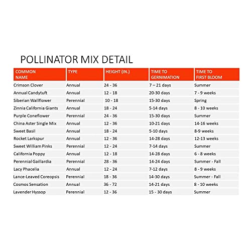 Wildflower Pollinator Mix (2 lb)