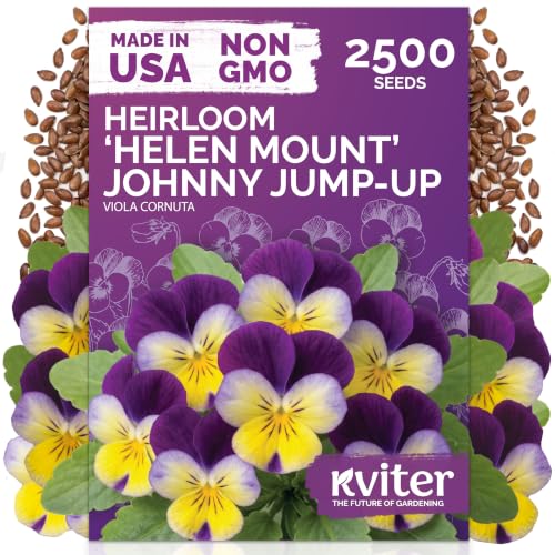 2 500 Johnny Jump Heirloom Flower Seeds for Planting