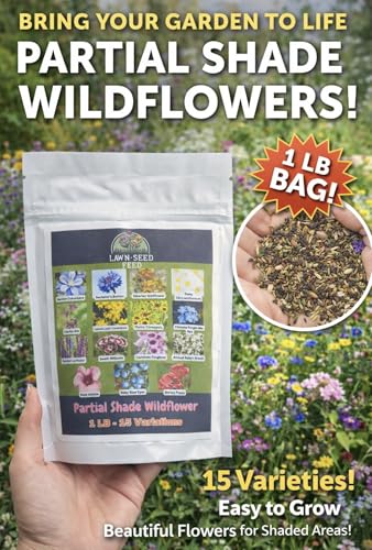 Partial Shade Wildflower Mix Seed (1 Pound)