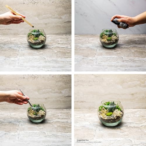Terrarium Starter Kit (Large Kit + Live Plants + Crystals)