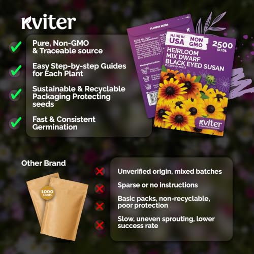 2 500 Mix Dwarf Black Eyed Susan Heirloom Flower Seeds