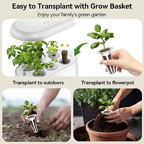 Fragrant Bouquet Flower 7 Pods Seed Pod Kit for Aero (7Pods / Flower)