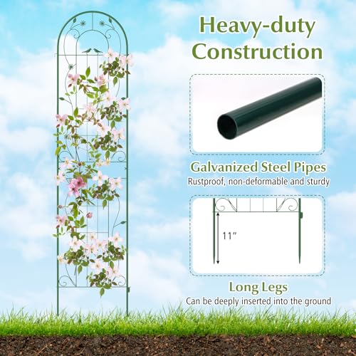 2 Pack Garden Trellis (87"x20" (2 Pack) / Green)