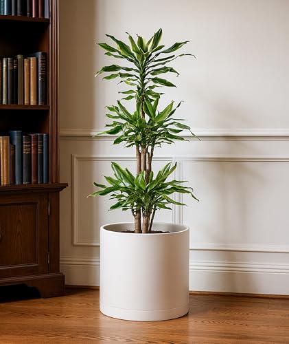 Plastic Planter Pot with Saucer (12 Inch / Oatmeal)