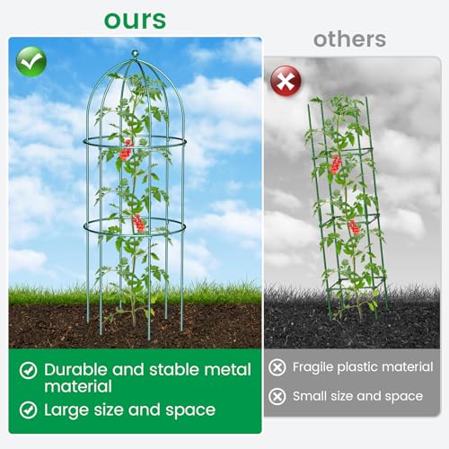 3 Pack Metal Plant Support Cage for Tomato Peony Cucumber (31.5 x 15.7 in / Green)