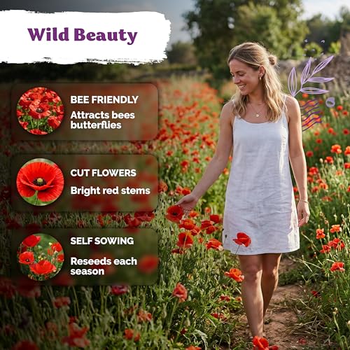 6 500 Red Poppy Heirloom Flower Seeds for Planting