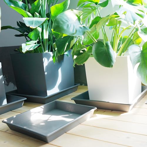 Square Plant Saucer 12 Inch 2 Pack 6 8 10 12 14 16 18 20 Inch (12"-2Pack / Gray)