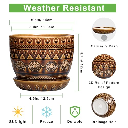 Ceramic Pot for Plants 5.5 Inch