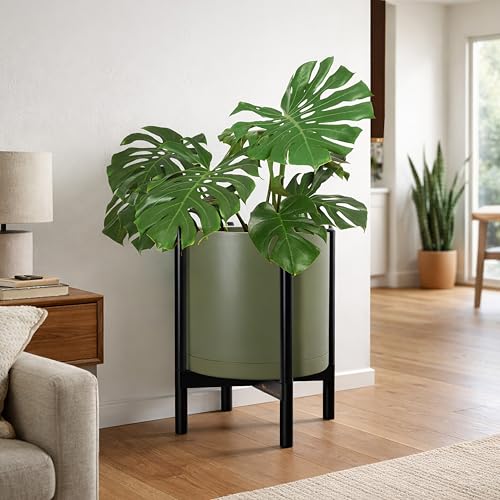 Plastic Pot with Ebony Wood Stand (Olive Pot + Ebony Stand / 16 Inch)