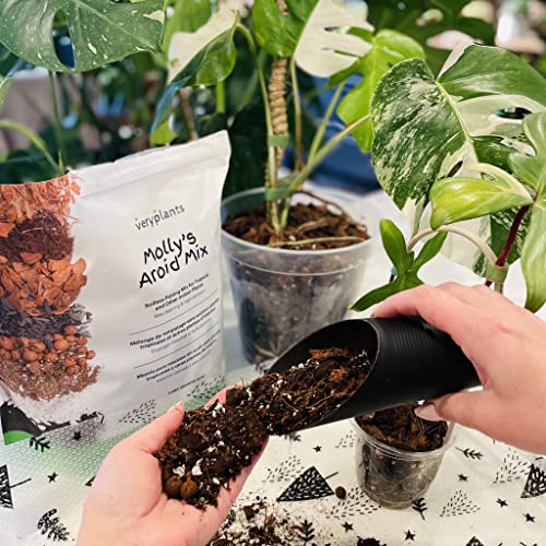 Molly's Aroid Potting Mix