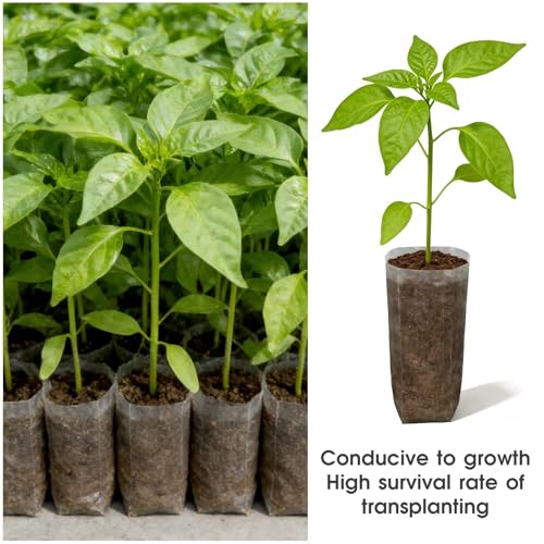 100 Pcs Nursery Growing Bags (7.5 x 11.6 Inches)